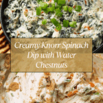 Knorr Spinach Dip Recipe
